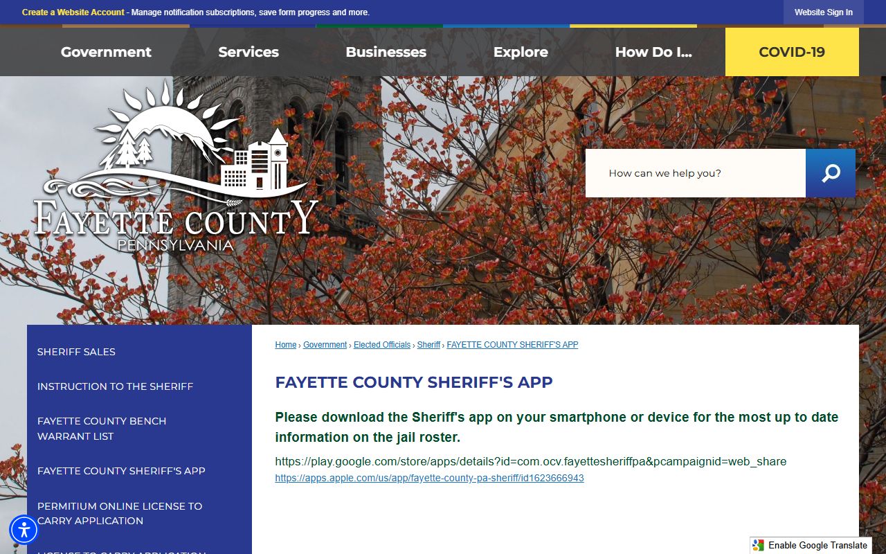 Fayette County jail mugshots sheriff app roster source page